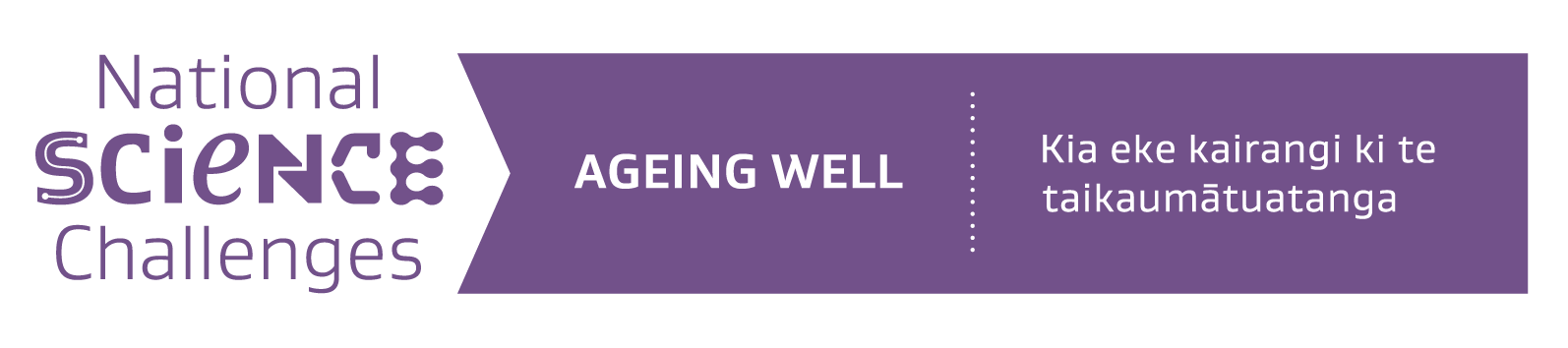 Ageing Well Ribbon Horizontal Logo 2