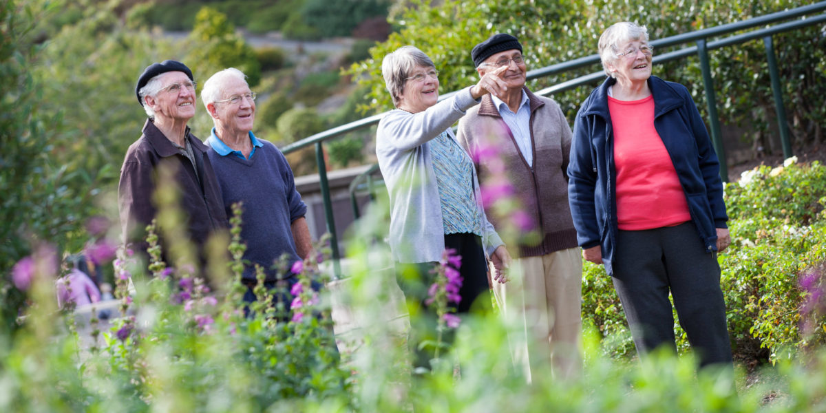 group of elderly