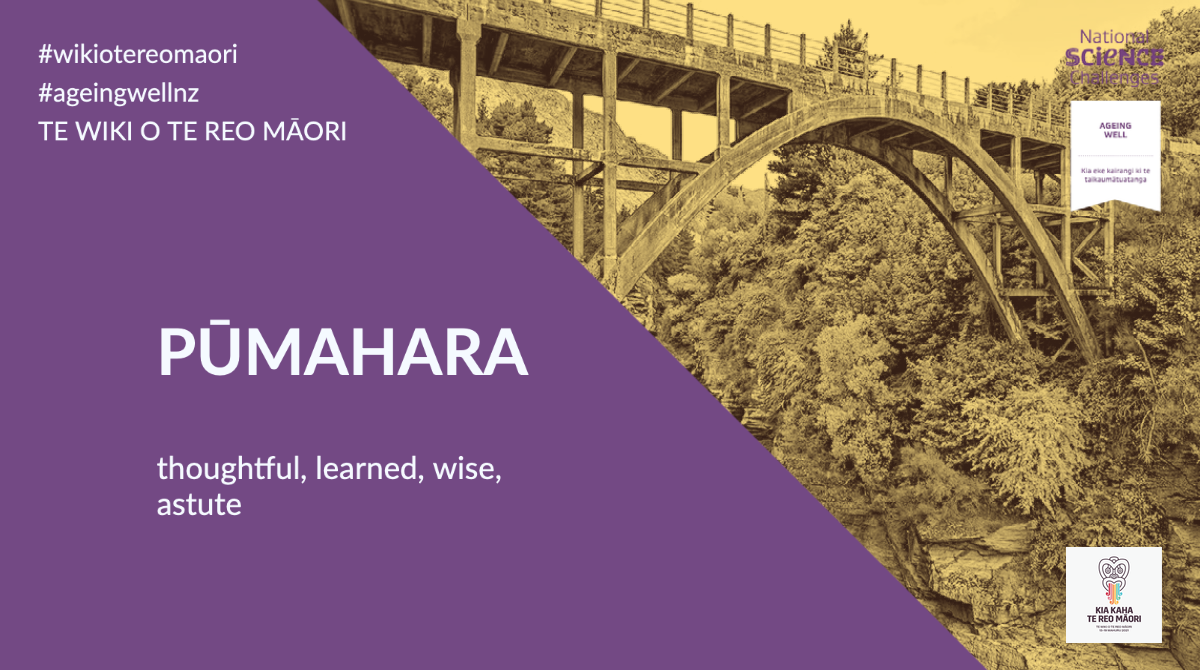 Pūmahara – thoughtful, learned, wise, astute